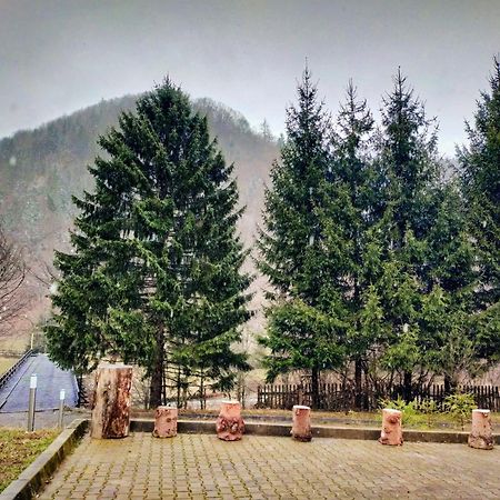 Villa & Spa 4Temporadas - Plaiul Foii Zărneşti Zewnętrze zdjęcie