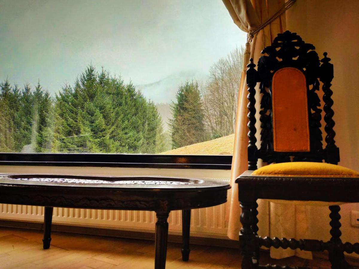 Villa & Spa 4Temporadas - Plaiul Foii Zărneşti Zewnętrze zdjęcie
