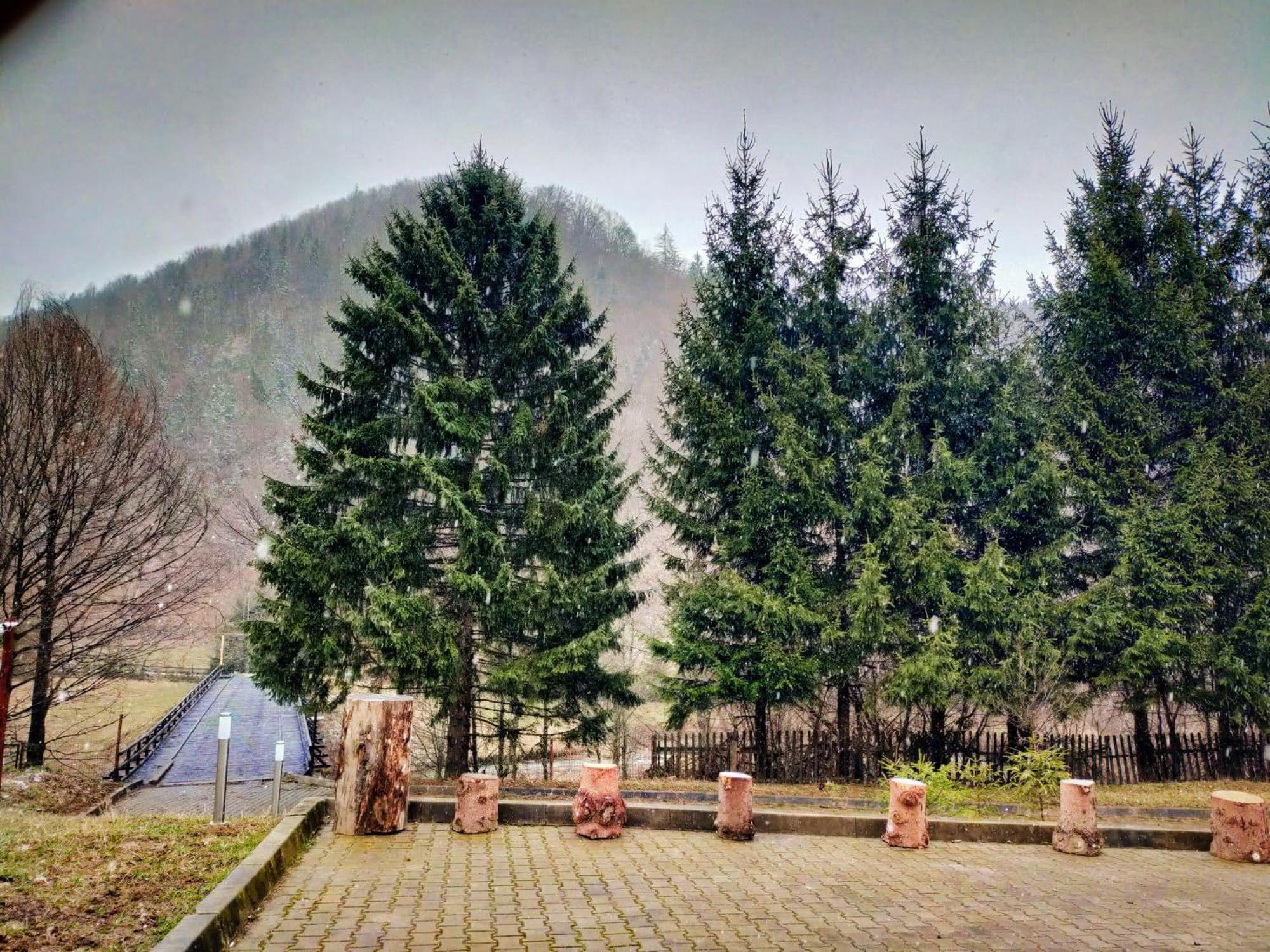 Villa & Spa 4Temporadas - Plaiul Foii Zărneşti Zewnętrze zdjęcie
