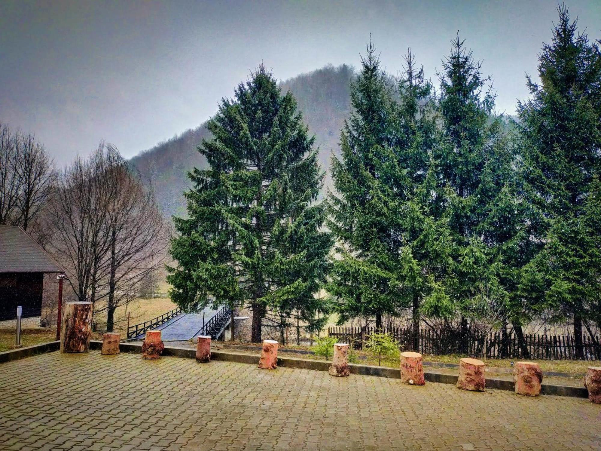 Villa & Spa 4Temporadas - Plaiul Foii Zărneşti Zewnętrze zdjęcie