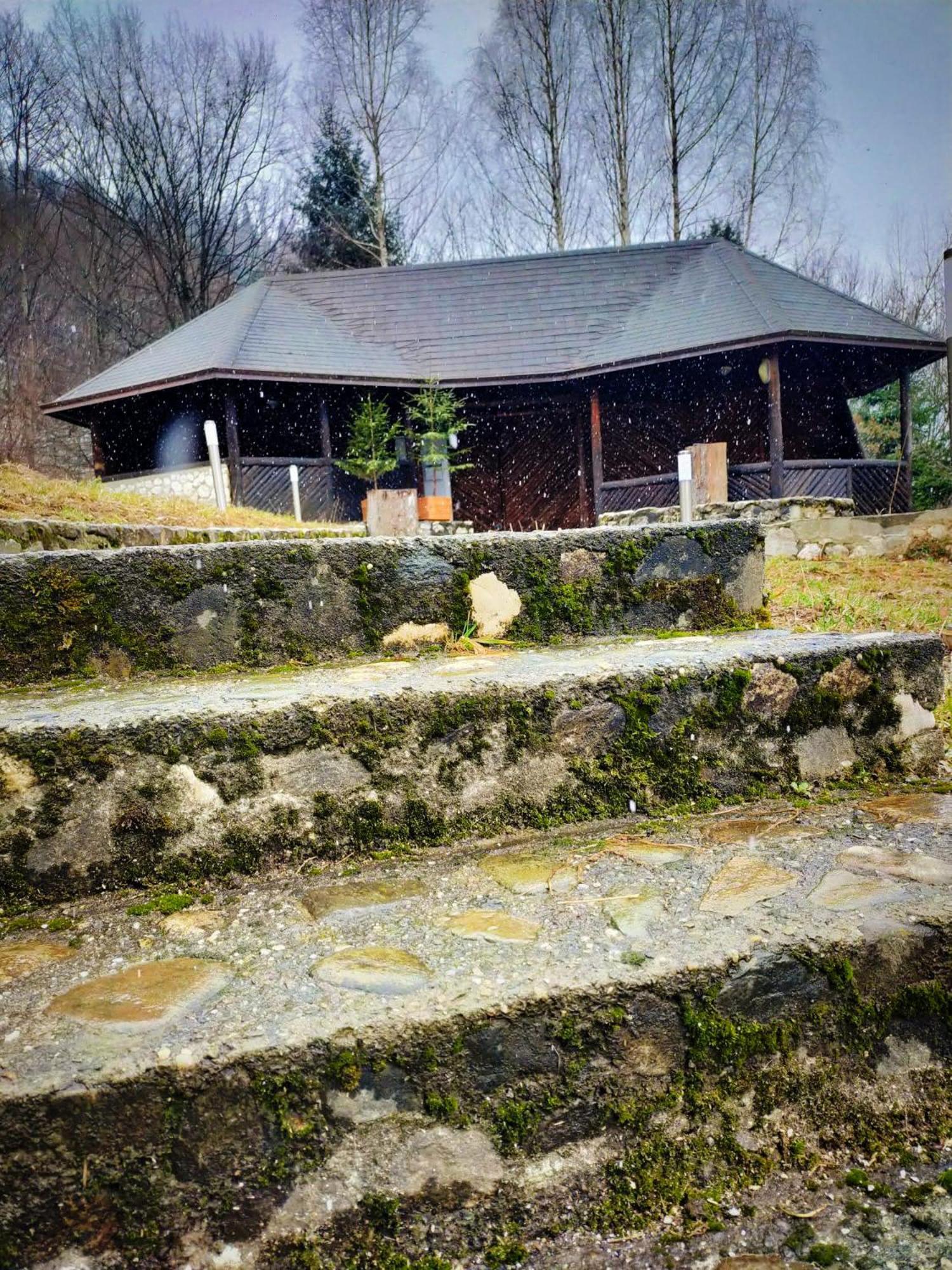 Villa & Spa 4Temporadas - Plaiul Foii Zărneşti Zewnętrze zdjęcie